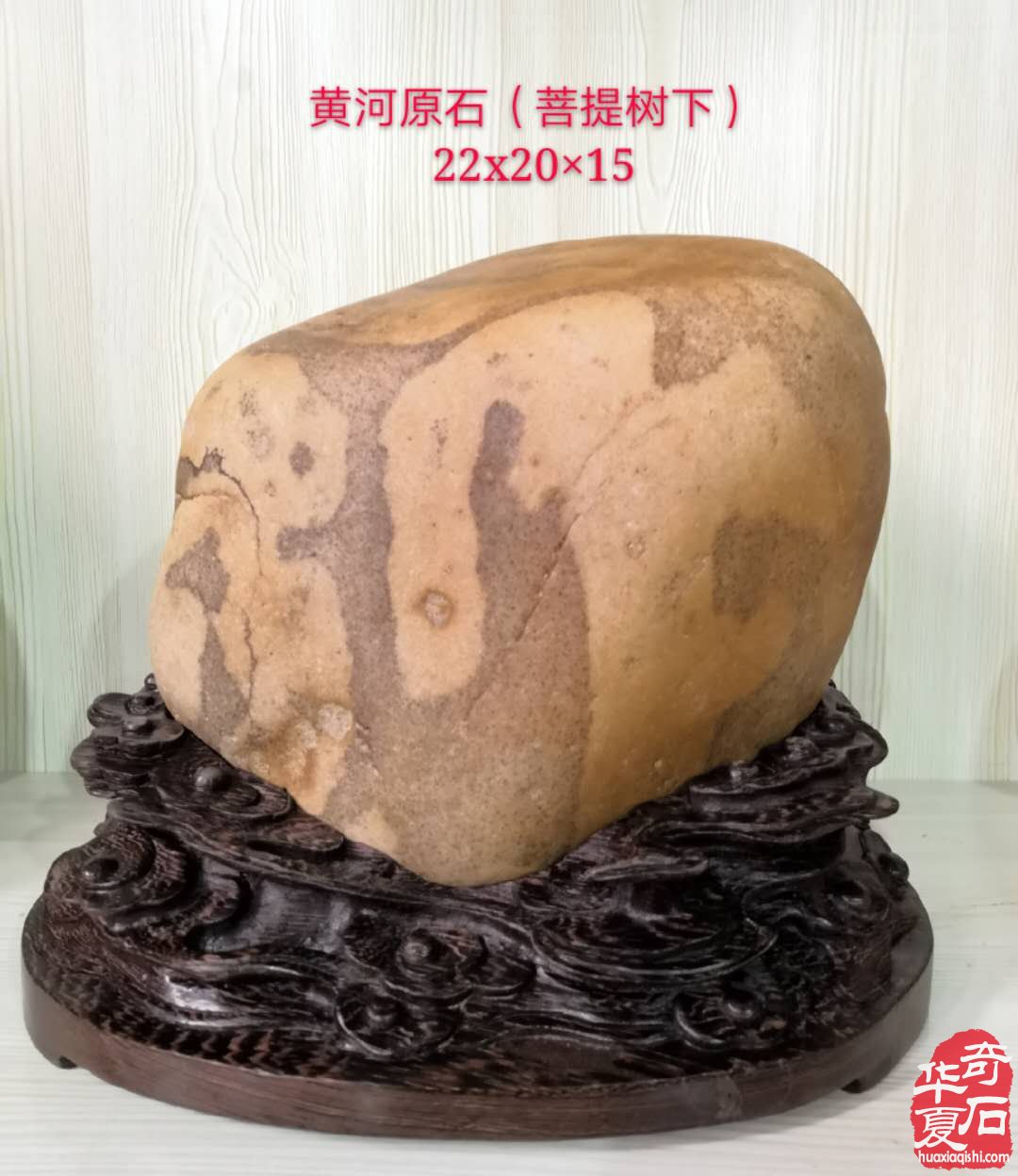 每日一石:黄河石《 菩提树下 》雅赏 图