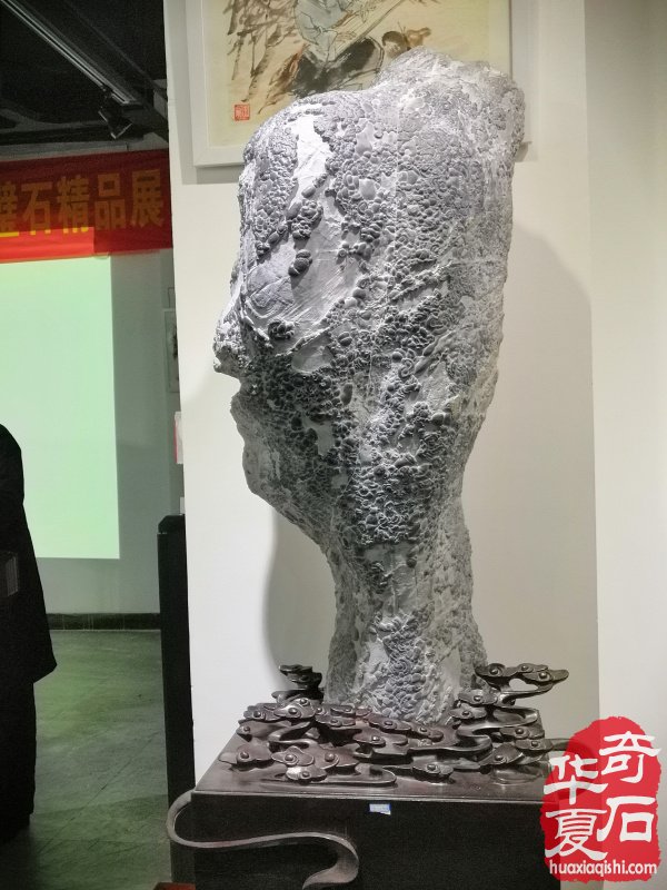 观象博物馆·中国赏石理论建构学术研讨会暨灵璧石精品展隆重召开 图