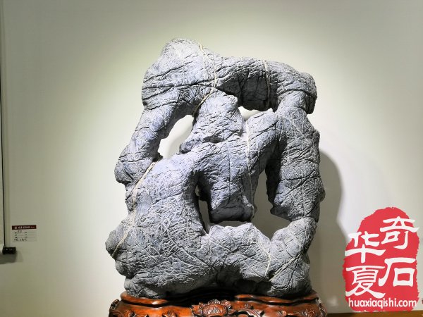 观象博物馆·中国赏石理论建构学术研讨会暨灵璧石精品展隆重召开 图