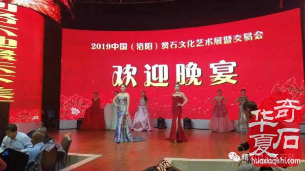 观国色牡丹，学专业知识 图