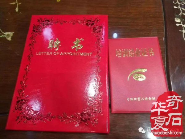 观国色牡丹，学专业知识 图