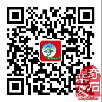 观国色牡丹，学专业知识 图