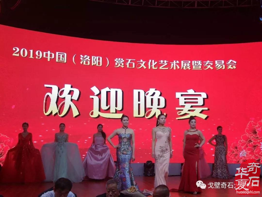 中韩石友洛阳叙旧 花开富贵牡丹争艳！