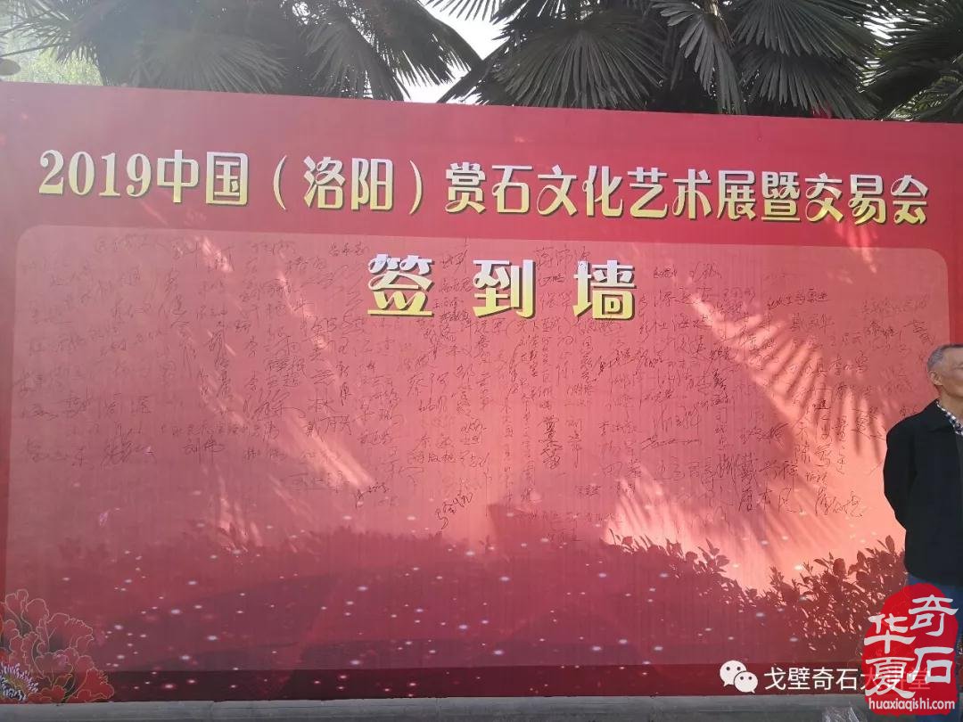 中韩石友洛阳叙旧 花开富贵牡丹争艳！