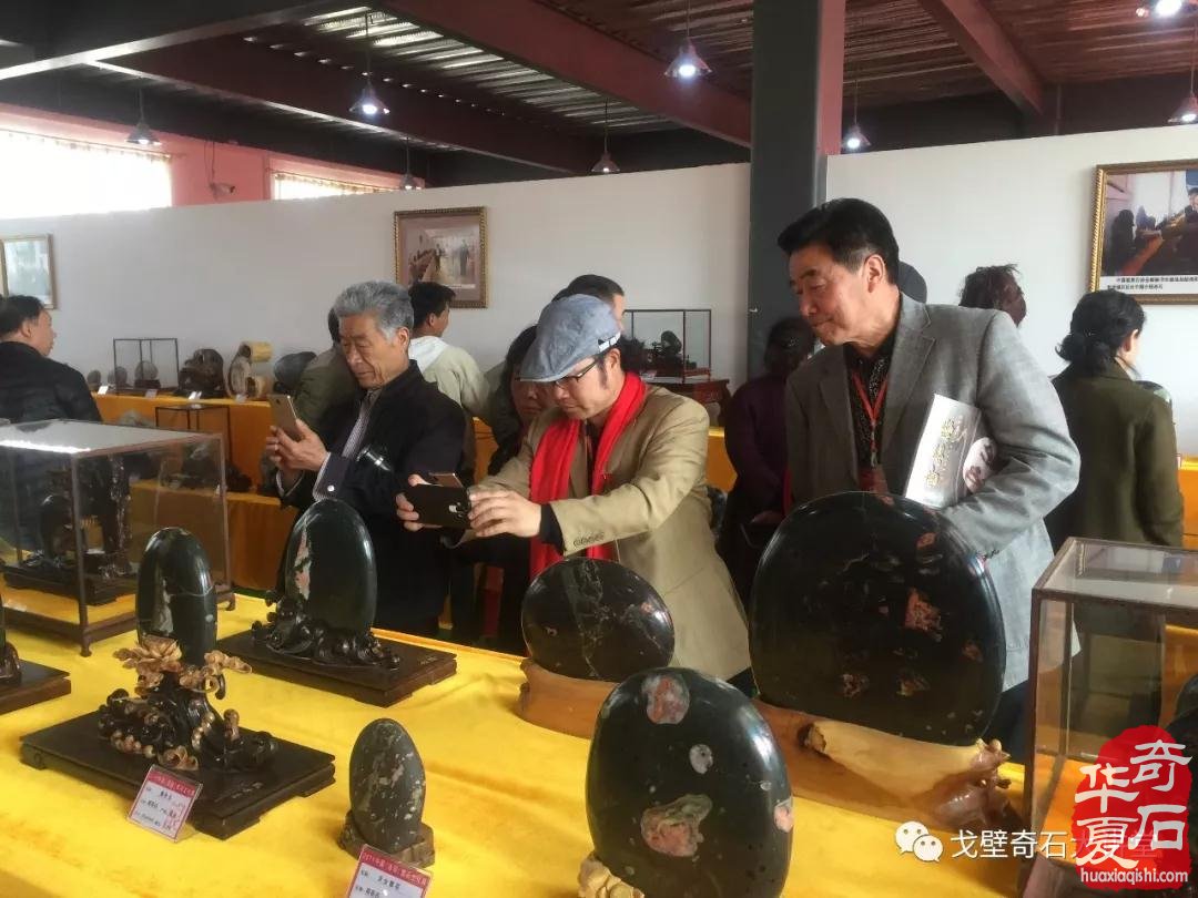 中韩石友洛阳叙旧 花开富贵牡丹争艳！
