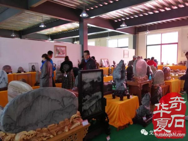 中韩石友洛阳叙旧 花开富贵牡丹争艳！