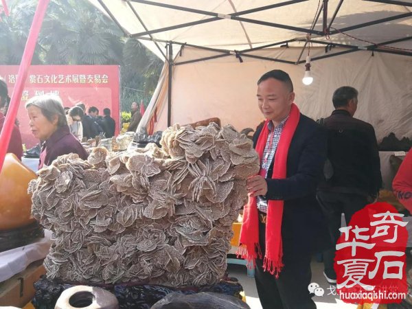 中韩石友洛阳叙旧 花开富贵牡丹争艳！