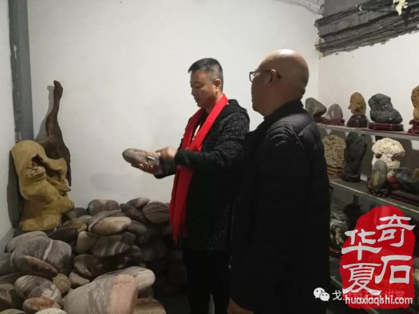 中韩石友洛阳叙旧 花开富贵牡丹争艳！
