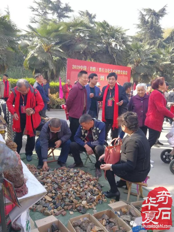 中韩石友洛阳叙旧 花开富贵牡丹争艳！