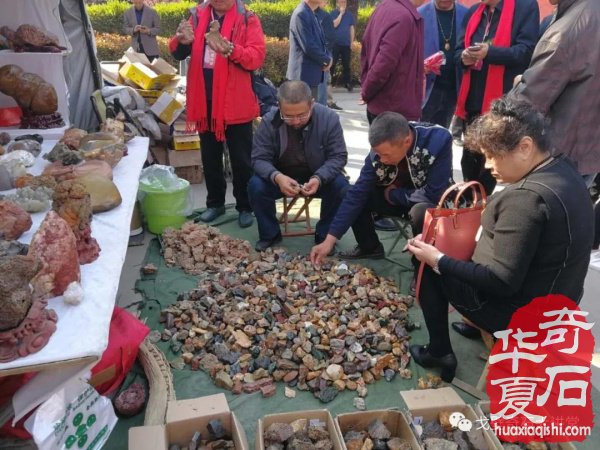中韩石友洛阳叙旧 花开富贵牡丹争艳！