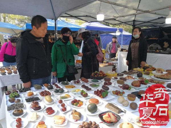 中韩石友洛阳叙旧 花开富贵牡丹争艳！