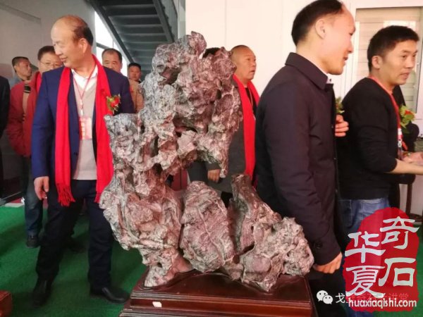 中韩石友洛阳叙旧 花开富贵牡丹争艳！