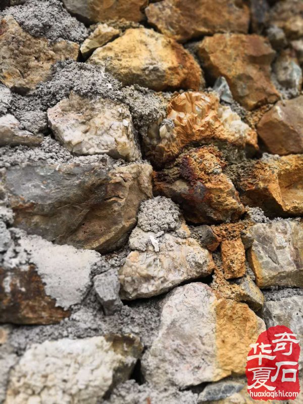 为了追寻赏石梦两学员数千里驱车到贵阳 图