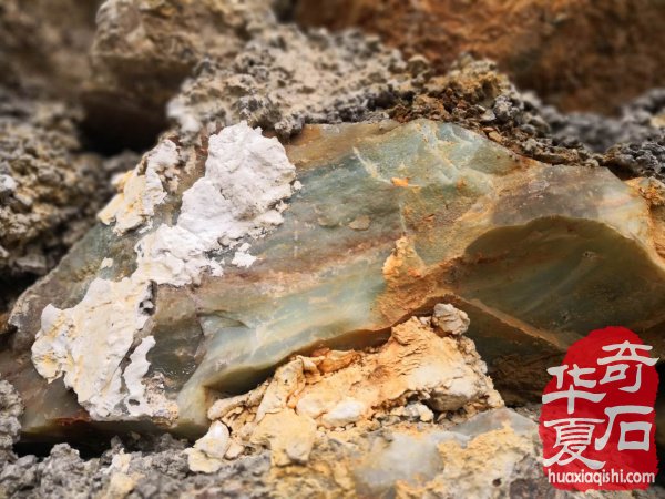 为了追寻赏石梦两学员数千里驱车到贵阳 图