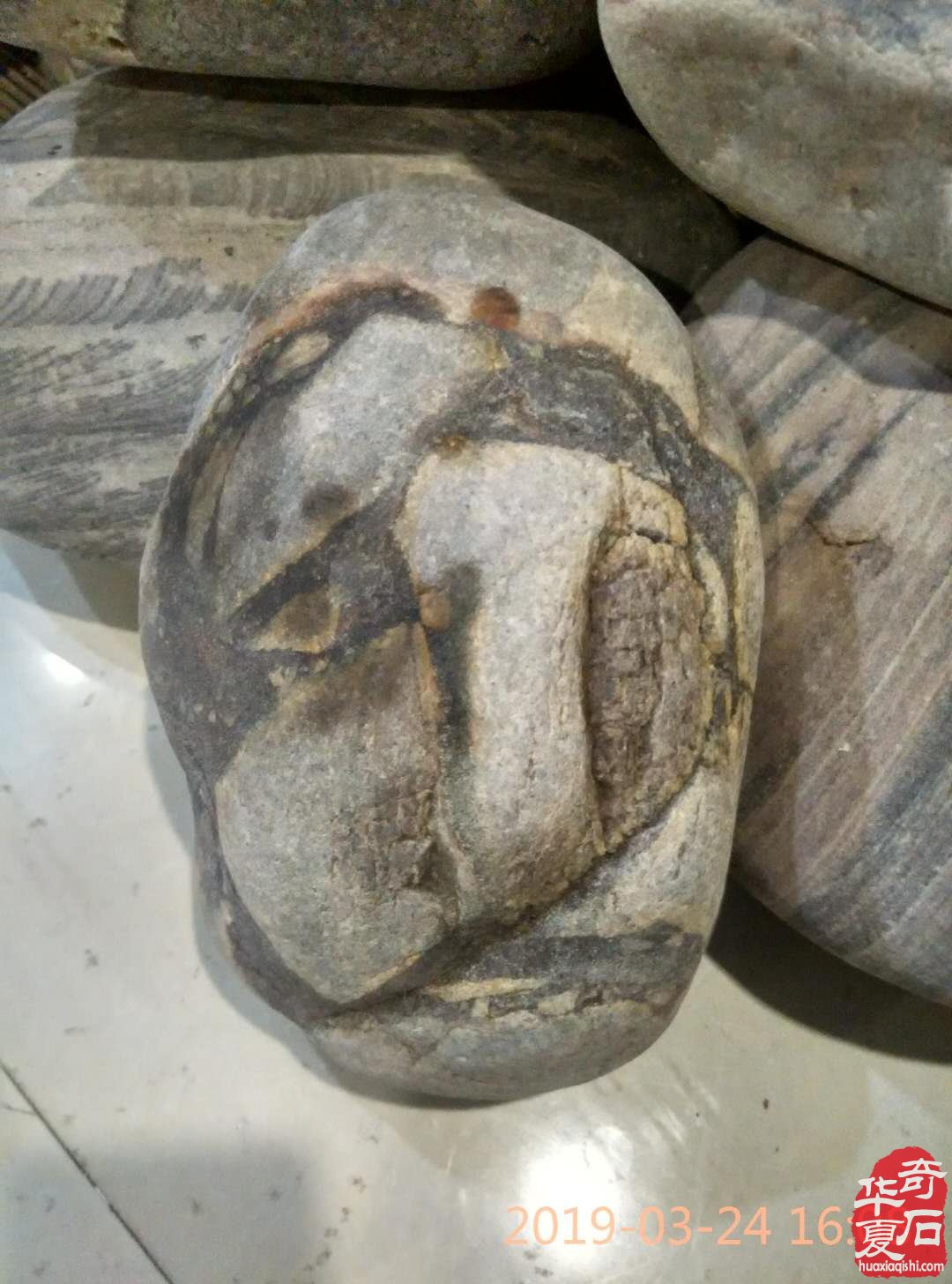 奇丑无比的石头你美在哪里