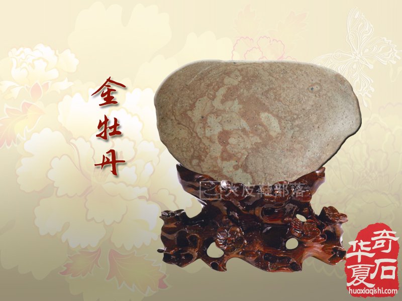  剪红云，抹朝晖 那牡丹花开的灵石