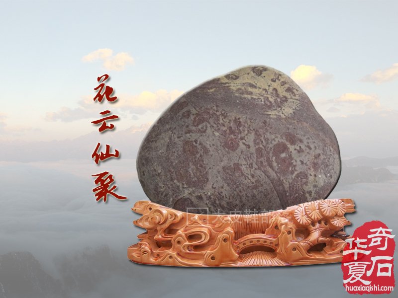  剪红云，抹朝晖 那牡丹花开的灵石