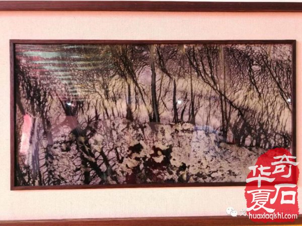 辽宁宽甸玉树石何以风靡当今石界 图