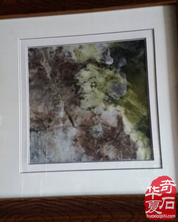 辽宁宽甸玉树石何以风靡当今石界 图