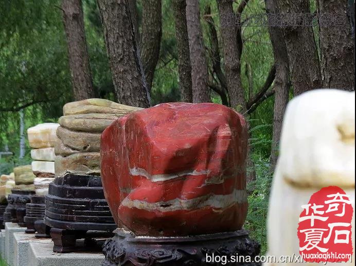 石友小心，现在炒得越热的石种，下一步凉的可能越快！