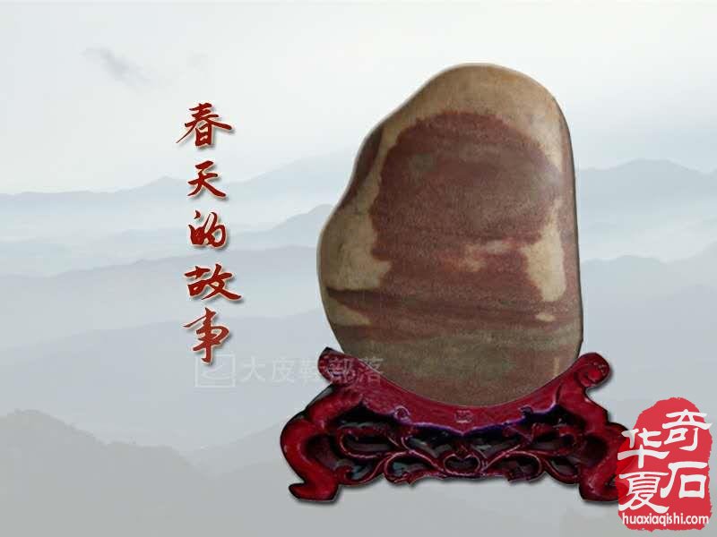  “春天的故事”和一方黄河石 图
