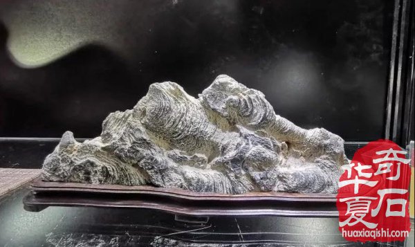 第七届中国名家赏石精品展|北京十里河58展会开幕