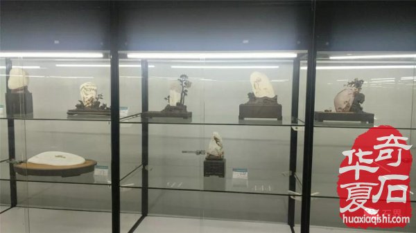 第三届常山国际赏石文化节美石抢先看