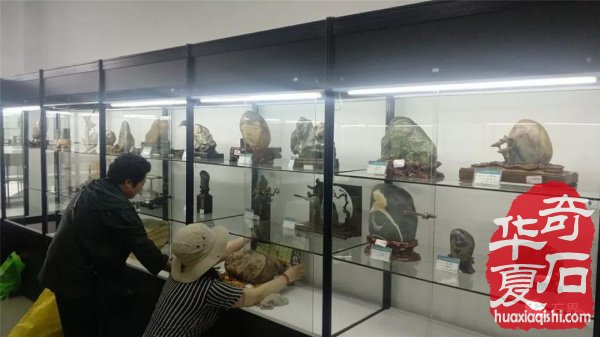 第三届常山国际赏石文化节美石抢先看