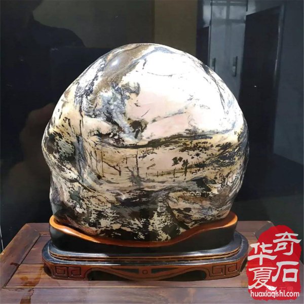第三届常山国际赏石文化节美石抢先看