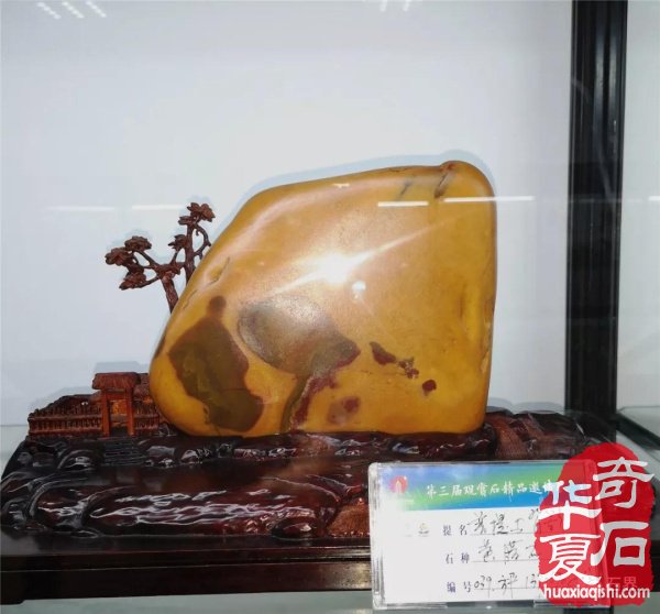 第三届常山国际赏石文化节美石抢先看