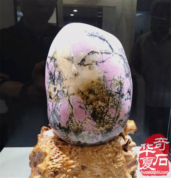 第三届常山国际赏石文化节美石抢先看