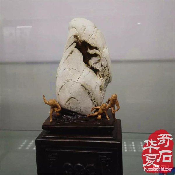 第三届常山国际赏石文化节美石抢先看