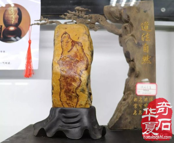 海峡两岸（常山）展开幕，有哪些热点值得关注？