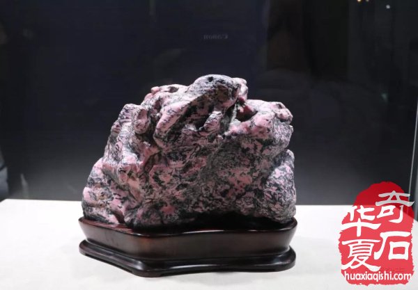 海峡两岸（常山）展开幕，有哪些热点值得关注？