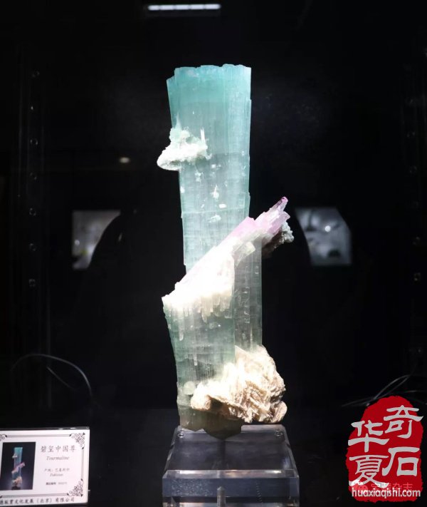 海峡两岸（常山）展开幕，有哪些热点值得关注？