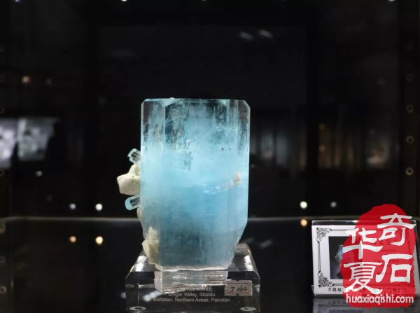 海峡两岸（常山）展开幕，有哪些热点值得关注？