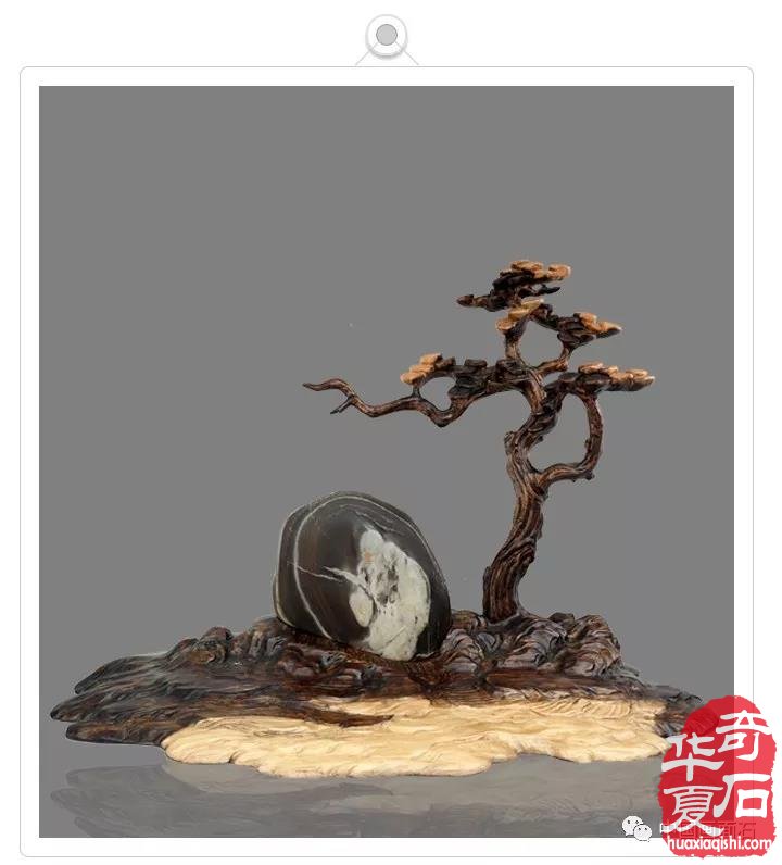 图纹石的意境美鉴赏 图