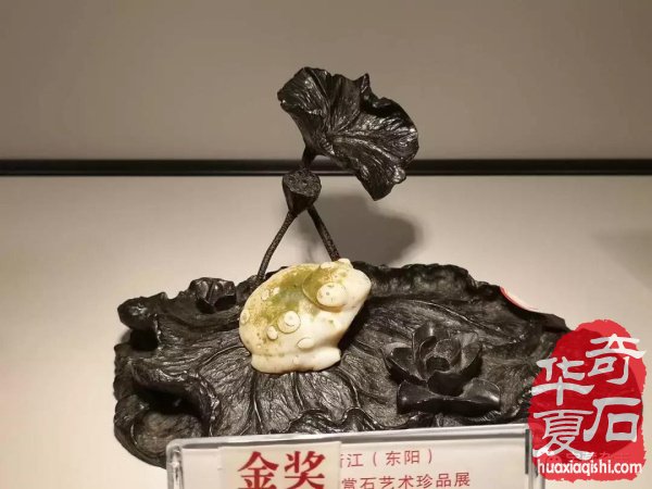 2019浙江（东阳）第四届中国赏石艺术珍品展盛大开幕