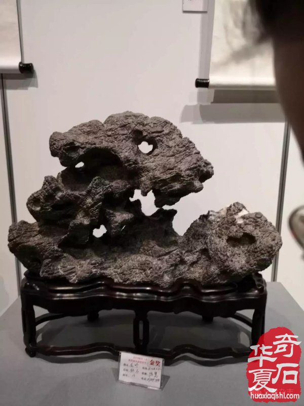 2019浙江（东阳）第四届中国赏石艺术珍品展盛大开幕