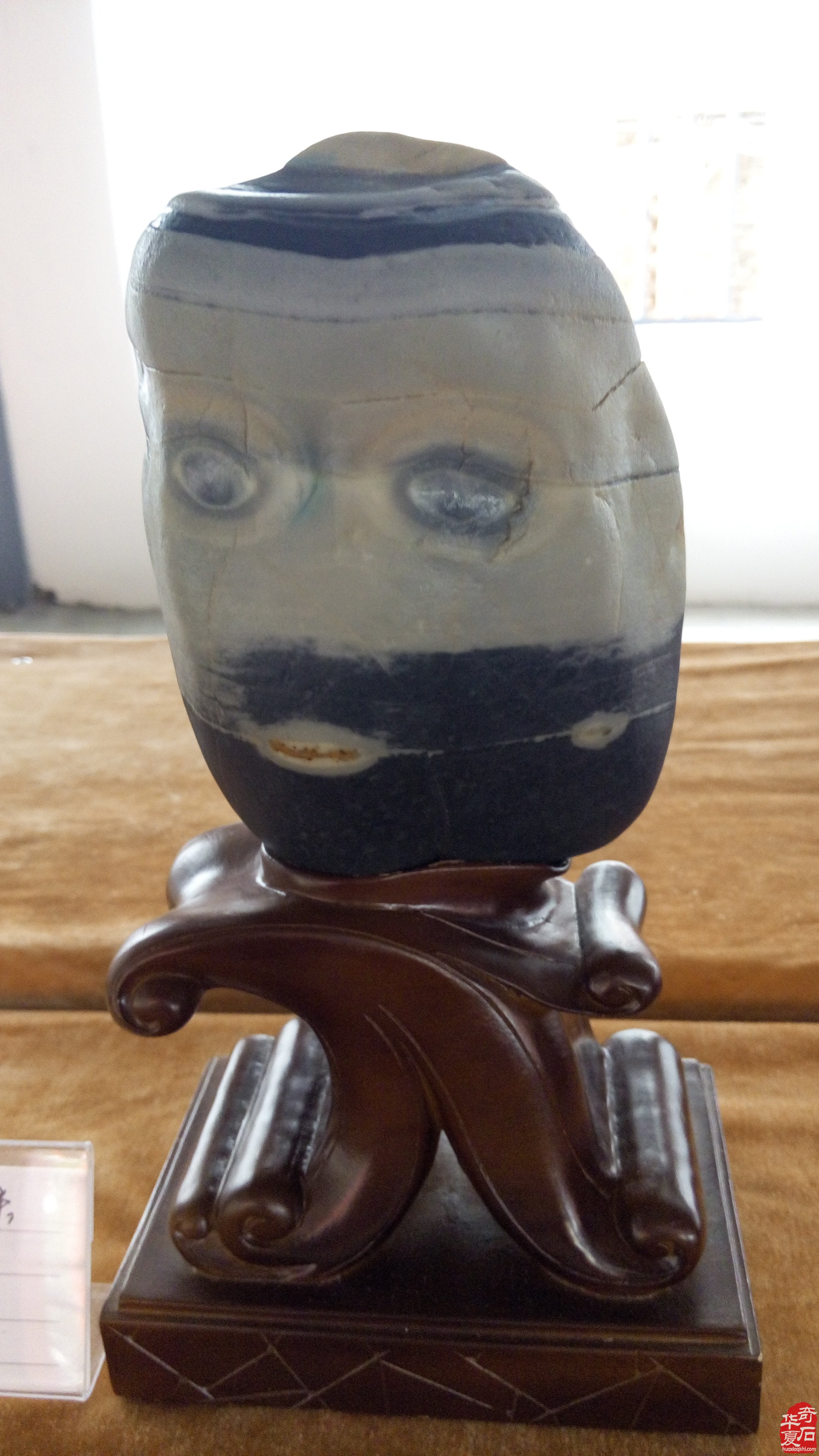 有趣的石头在哪里？郑州石展召唤你！
