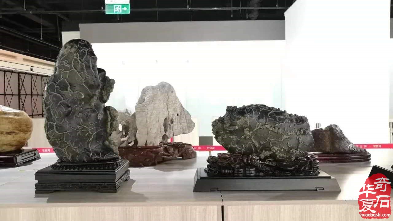 湖南省娄底异形铁胆石 图