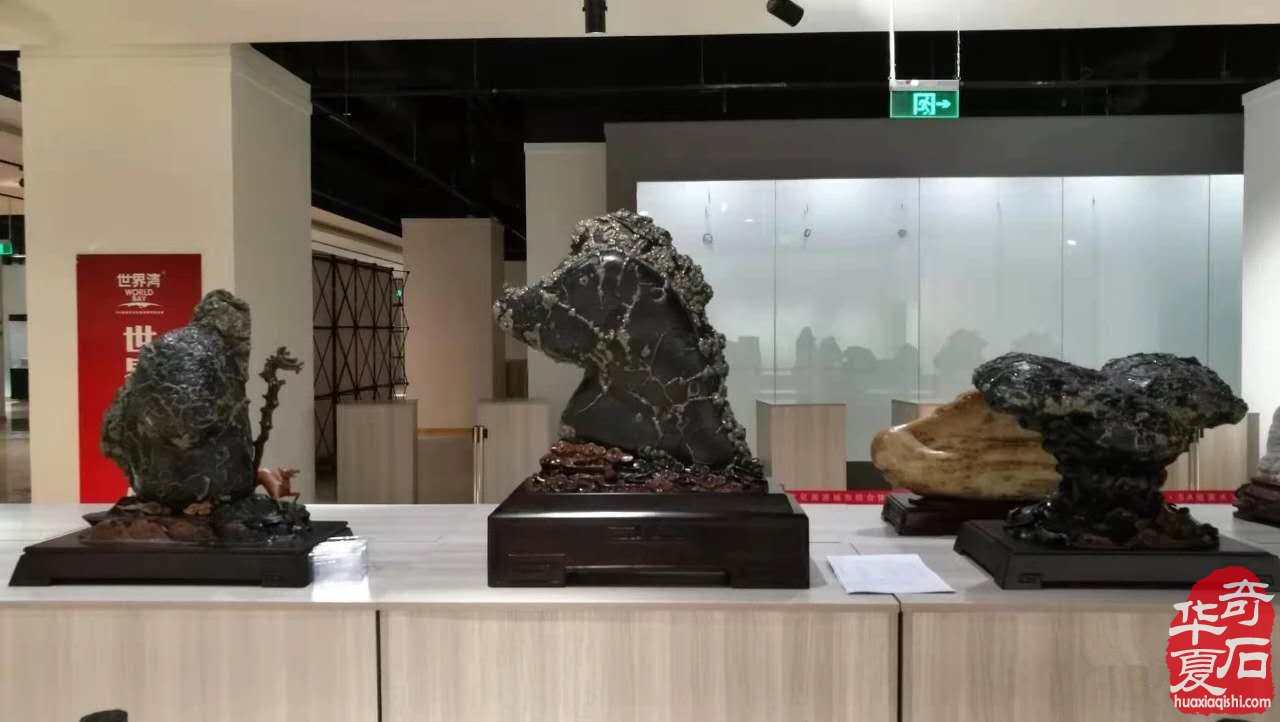 湖南省娄底异形铁胆石 图