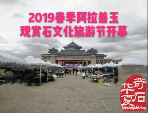 春季阿拉善玉·观赏石文化旅游节惊艳石界 图
