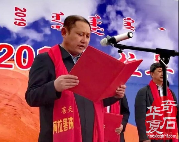 春季阿拉善玉·观赏石文化旅游节惊艳石界 图