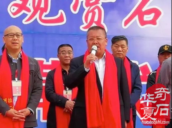 春季阿拉善玉·观赏石文化旅游节惊艳石界 图