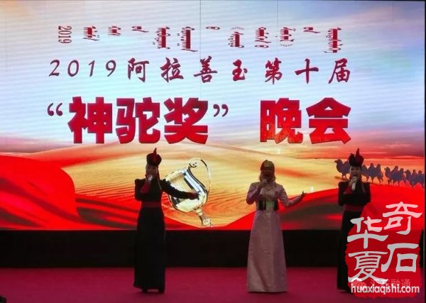 春季阿拉善玉·观赏石文化旅游节惊艳石界 图