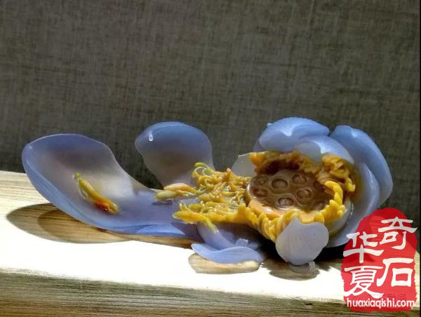 春季阿拉善玉·观赏石文化旅游节惊艳石界 图