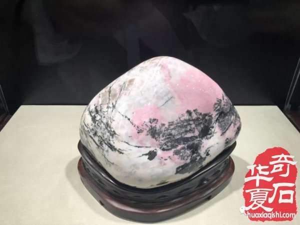 画面石常山海峡两岸赏石文化交流展上争奇斗艳