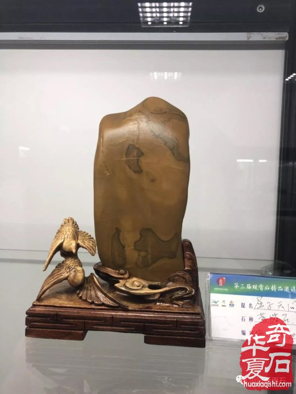 画面石常山海峡两岸赏石文化交流展上争奇斗艳