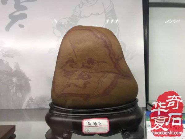 画面石常山海峡两岸赏石文化交流展上争奇斗艳
